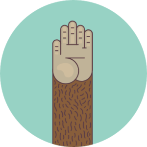 MailChimp eCommerce Automation - Wat is dat eigenlijk? 1 mailchimp ecommerce automation | MailChimp eCommerce Automation - Wat is dat eigenlijk?