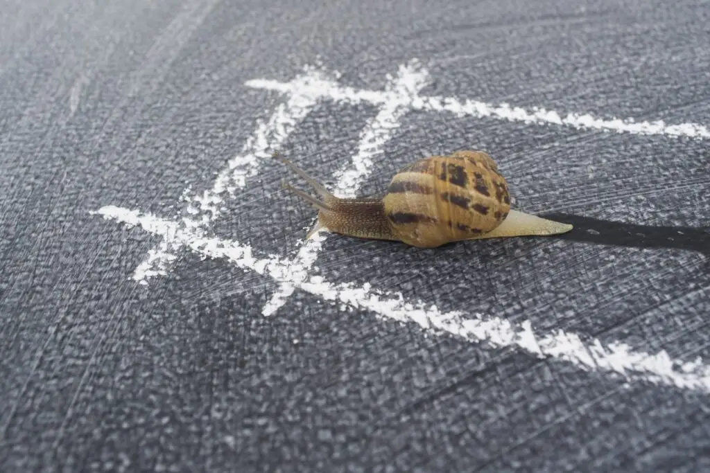 In spiral slow journey