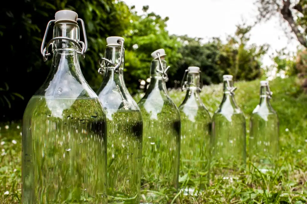 Row of glass bottles filled with water on green grass, save the planet