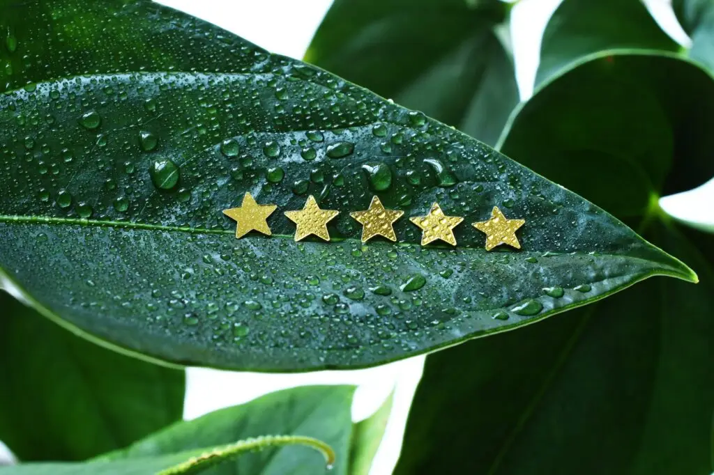 WooCommerce Product Reviews Pro