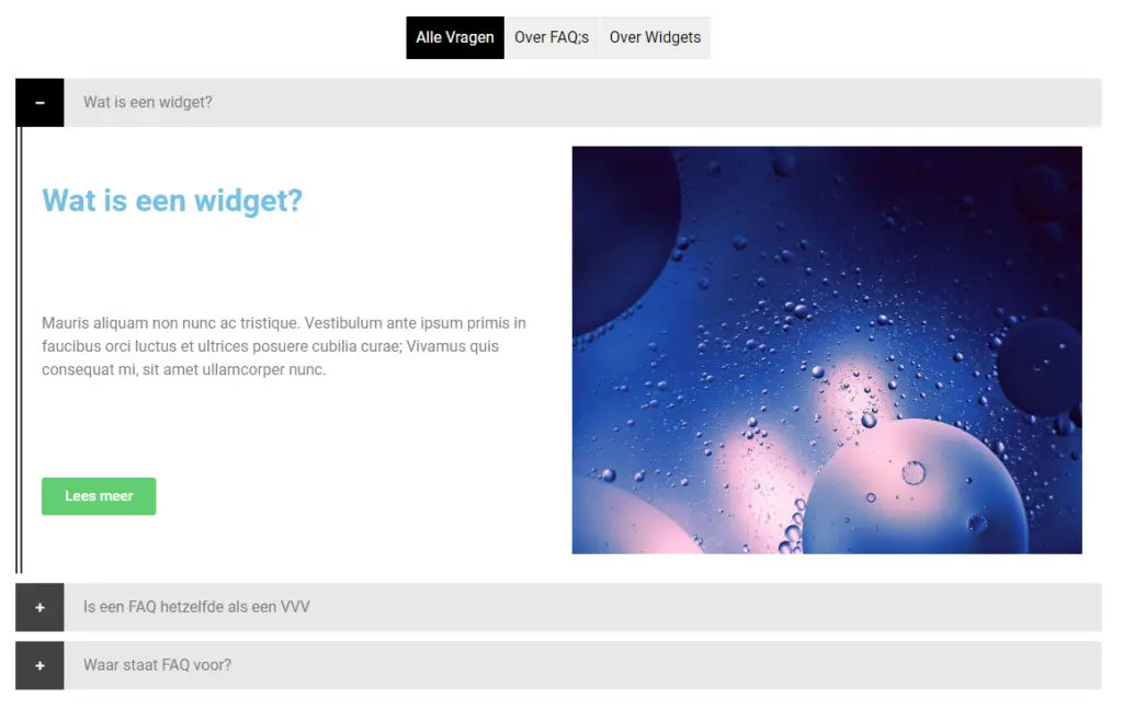 Een FAQ widget voor Elementor maak je gewoon zelf! 17 FAQ widget | Een FAQ widget voor Elementor maak je gewoon zelf!