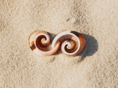 Symbol infinity of shells on the beach, the element of graphic design