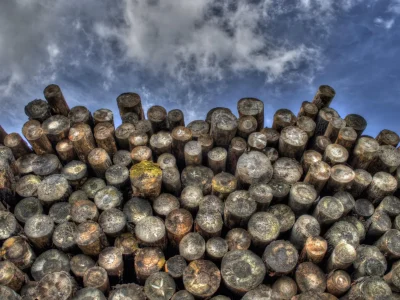 Twig en Timber