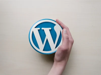 wordpress-expert
